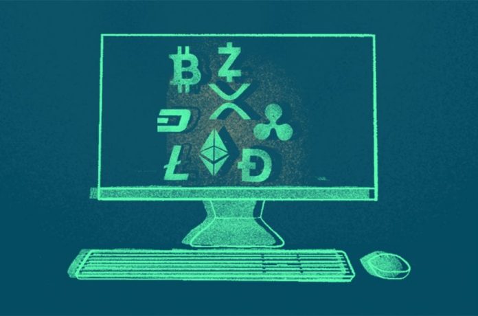 blockchain developer