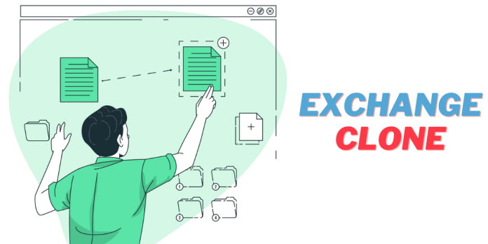 exchange clone solution illustration