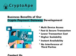 crypto payment gateway