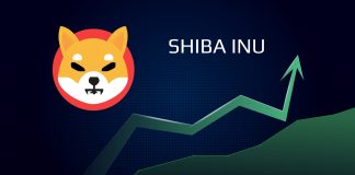 Shiba Inu (SHIB) Coin Price Prediction